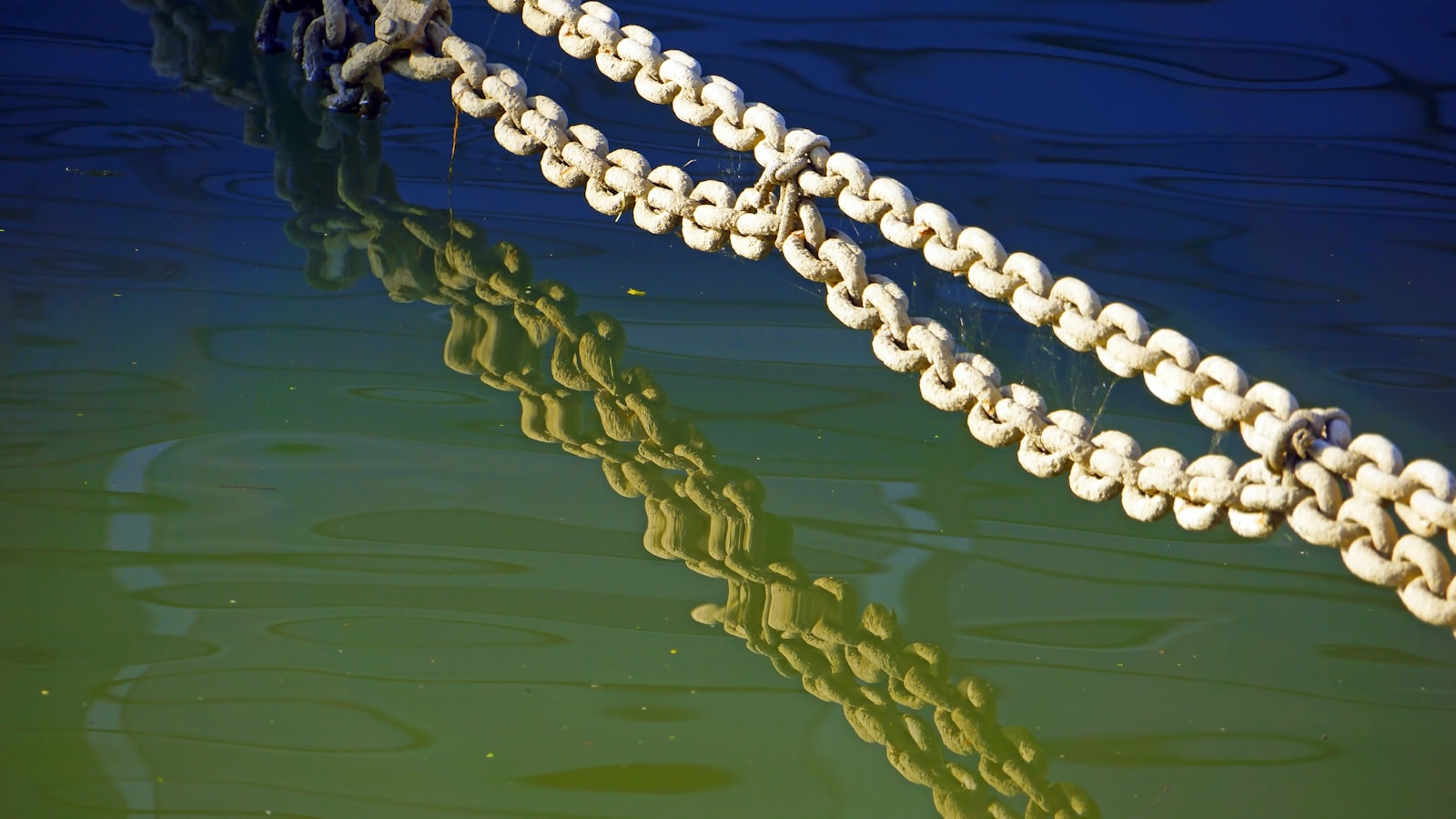 Pearl ring